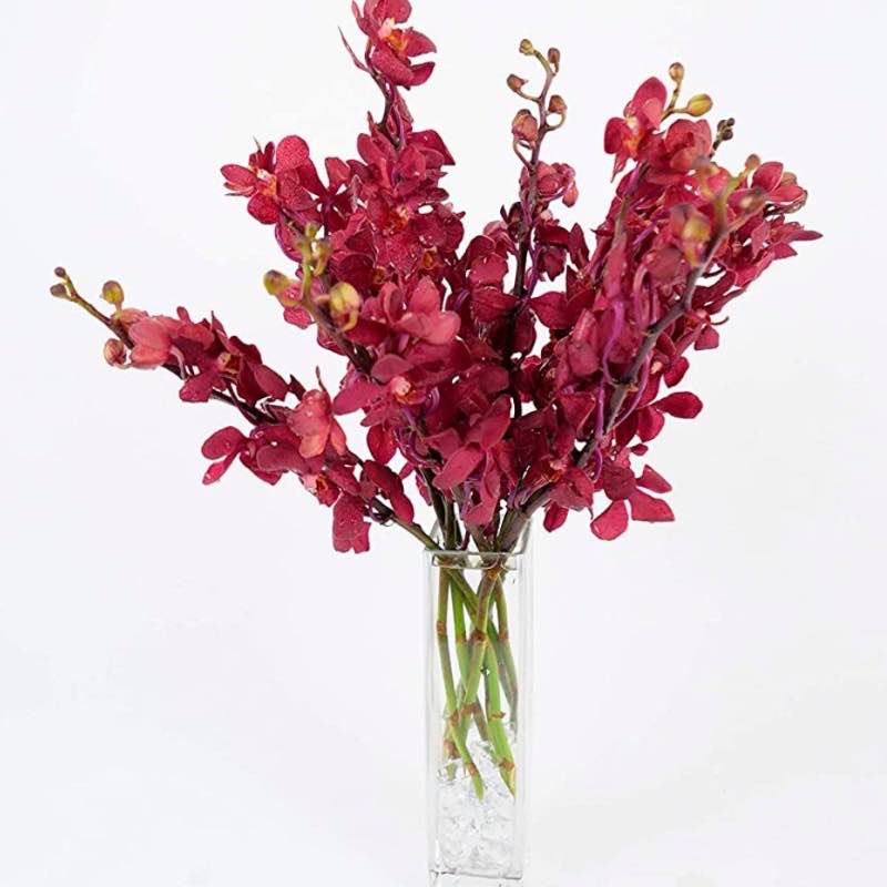 Large Orchid Bunch in Glass Vase - Red